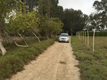 VENDO AMPLIO TERRENO CON FRENTE A PANAMERICANA SUR ALTURA TOTORITAS - MALA