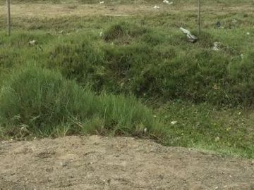 VENDO AMPLIO TERRENO CON FRENTE A PANAMERICANA SUR ALTURA TOTORITAS - MALA
