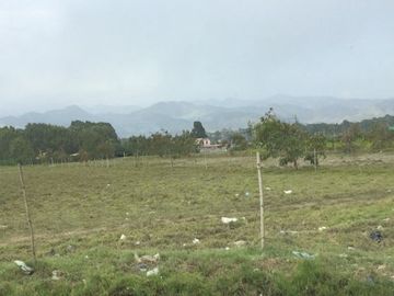 VENDO AMPLIO TERRENO CON FRENTE A PANAMERICANA SUR ALTURA TOTORITAS - MALA