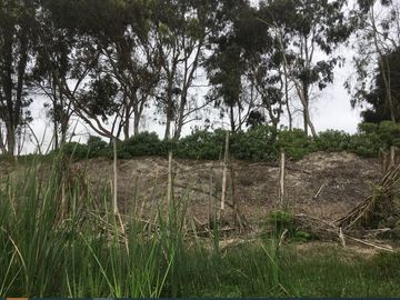 VENDO AMPLIO TERRENO CON FRENTE A PANAMERICANA SUR ALTURA TOTORITAS - MALA