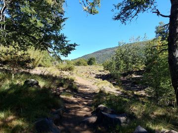 Vende Parcela Sector Valle Las Trancas