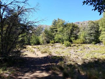 Vende Parcela Sector Valle Las Trancas