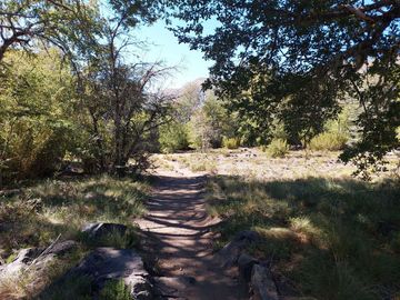 Vende Parcela Sector Valle Las Trancas