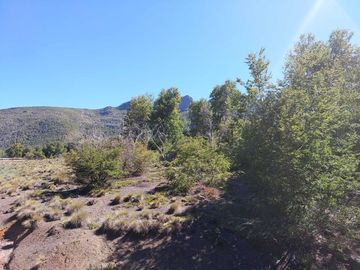 Vende Parcela Sector Valle Las Trancas