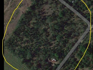 Farm lot for Rent/Sale in San Pablo, Laguna