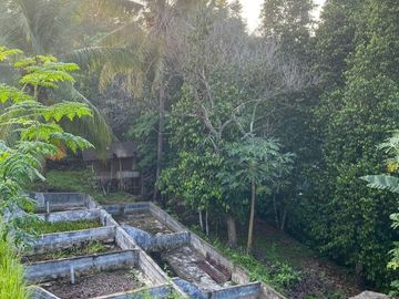 Rumah Murah Pinggir Jalan Luas 900 m Di Kota Cilegon