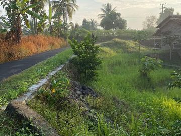 Rumah Murah Pinggir Jalan Luas 900 m Di Kota Cilegon