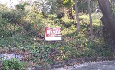 Residential Lot for Sale in Sun Valley Golf and Residential Estates, Rizal