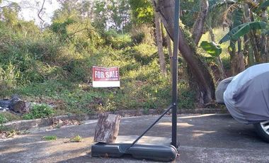 Residential Lot for Sale in Sun Valley Golf and Residential Estates, Rizal