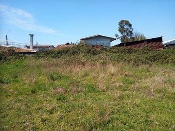 PICARTE 2.900 MT2 CERCANO AV. FRANCIA VALDIVIA    36.000 UF