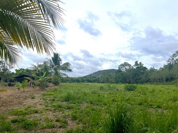 7 rai with canal and mountain view land for sale near the new airport in Khokkloy, Phang Nga.