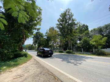Large piece of land for sale in San Sai, Chiang Mai