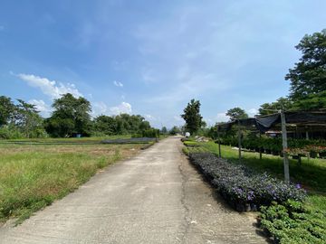 Large piece of land for sale in San Sai, Chiang Mai
