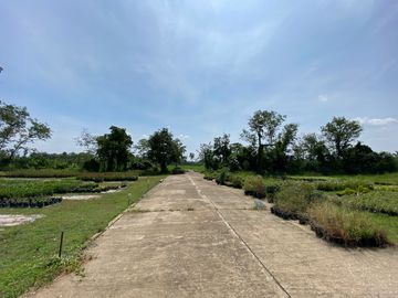 Large piece of land for sale in San Sai, Chiang Mai