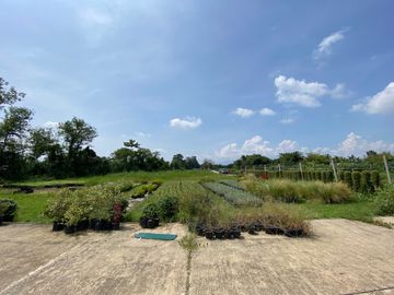 Large piece of land for sale in San Sai, Chiang Mai