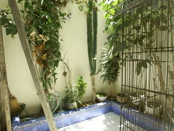🏡 ¡VENDO CASA DE 3 DORMITORIOS + TERRAZA EN SAN MARTÍN DE PORRES! 🌟
