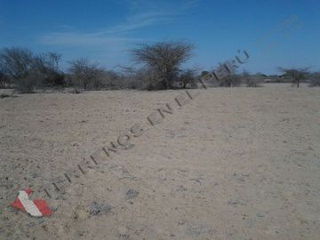 Terreno en Olmos – Chiclayo de 858 Has