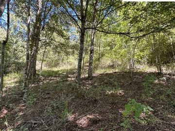 Pucón Tinquilco parcela 5.000m2 COD.VTAP151
