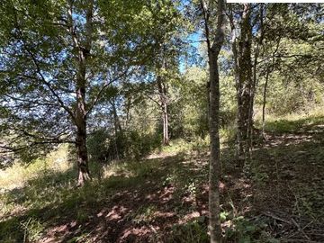 Pucón Tinquilco parcela 5.000m2 COD.VTAP151