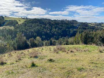 Campo en venta con casa y hermosa vista en Fresia – Región de Los Lagos
