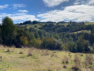 Campo en venta con casa y hermosa vista en Fresia – Región de Los Lagos
