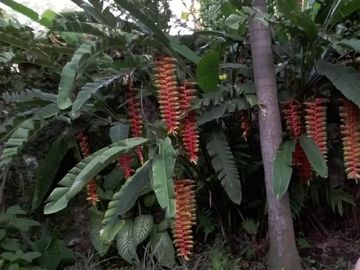 Hermosa casa campestre