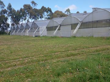 VENDO FINCA 36 HECTAREAS  CERCA DE LASSO