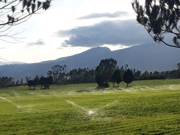 VENDO FINCA 36 HECTAREAS  CERCA DE LASSO