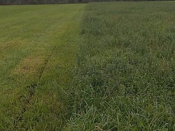 VENDO FINCA 36 HECTAREAS  CERCA DE LASSO