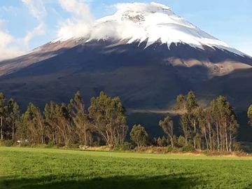 VENDO FINCA 36 HECTAREAS  CERCA DE LASSO
