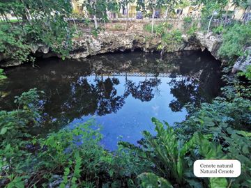 Casa con con jardín, alberca, Casa Club, cenote y Area de juegos, Allegranza, Playa del carmen.