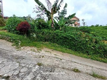 1000sq.m Residential Lot for Sale in Foggy Hills, Baguio City!