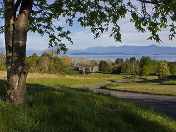 Lindas Parcelas En Condominio En Lago Ranco