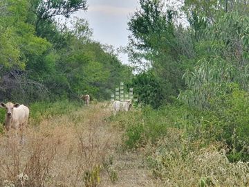 Rancho en Venta en Montemorelos