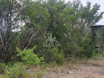 Rancho en Venta en Montemorelos