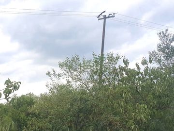 Rancho en Venta en Montemorelos
