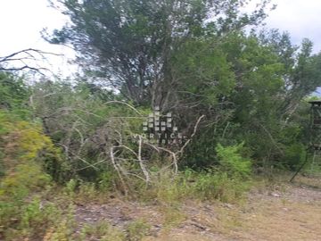 Rancho en Venta en Montemorelos