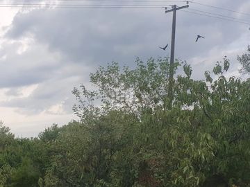 Rancho en Venta en Montemorelos