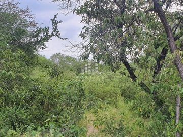 Rancho en Venta en Montemorelos
