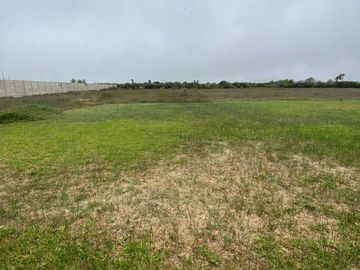 VENTA DE 12, 000 M2 DE TERRENO EN SAN RAFAEL, MALA ENTRADA DE TOTORITAS