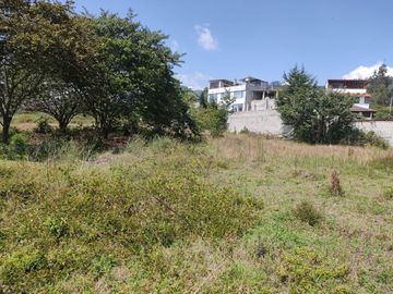 Venta de terreno 11.695M2, Cumbaya, Lotizacion Yanazarapata