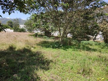 Venta de terreno 11.695M2, Cumbaya, Lotizacion Yanazarapata