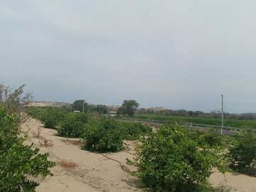 VENTA DE TERRENO AGRICOLA – OPORTUNIDAD DE INVERSION