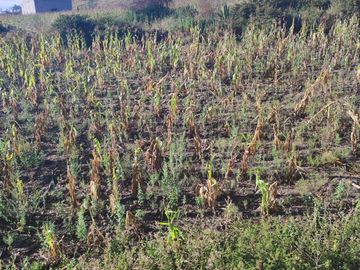 Remato Terreno en Calderon Norte de Quito