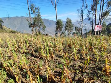 Remato Terreno en Calderon Norte de Quito