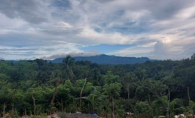 Agricultural Lot for Sale in Brgy. Tulos, Rosario, Batangas