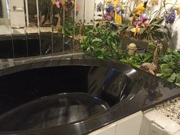 Casa en Venta en Residencial San Agustín, San Pedro, Garza, García, Nuevo León