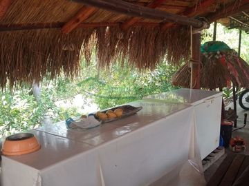 VENDEMOS HERMOSA FINCA CON ARBOLES FRUTALES Y LAGO.