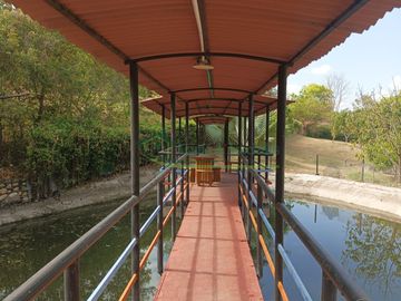 VENDEMOS HERMOSA FINCA CON ARBOLES FRUTALES Y LAGO.