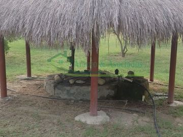 VENDEMOS HERMOSA FINCA CON ARBOLES FRUTALES Y LAGO.